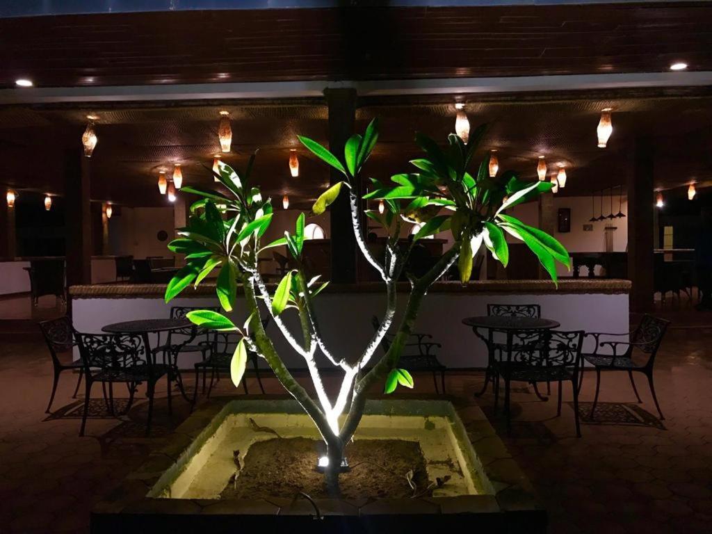Peacock Beach Hotel ฮัมบานโตตา ภายนอก รูปภาพ